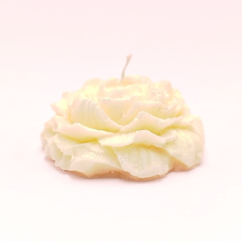 Bougie Rose nacrée - Monoï Pêche