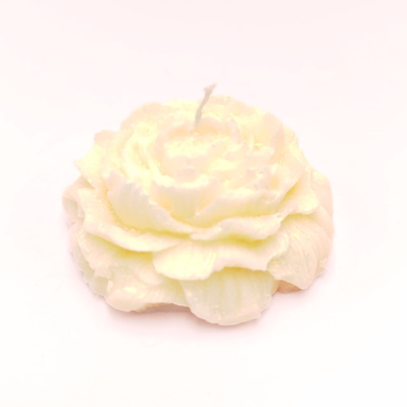 Bougie Rose nacrée - Poudre de riz